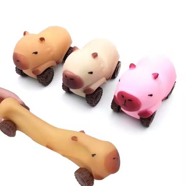 Capibara amansa loco con ruedas - Imagen 4